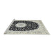 Sideview of Machine Washable Traditional Gray Rug, wshtr3482