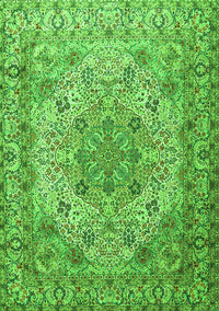 Persian Green Traditional Rug, tr3485grn