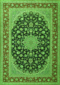 Medallion Green Traditional Rug, tr3486grn