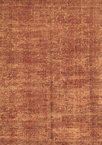 Persian Brown Traditional Rug, tr3489brn