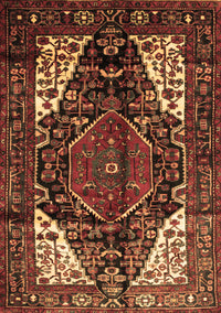 Persian Brown Traditional Rug, tr348brn