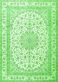 Medallion Green Traditional Rug, tr3490grn