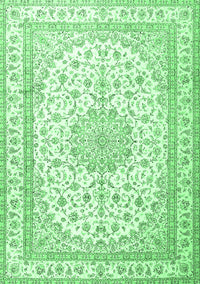 Medallion Emerald Green Traditional Rug, tr3490emgrn