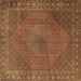 Square Machine Washable Persian Brown Traditional Rug, wshtr3492brn