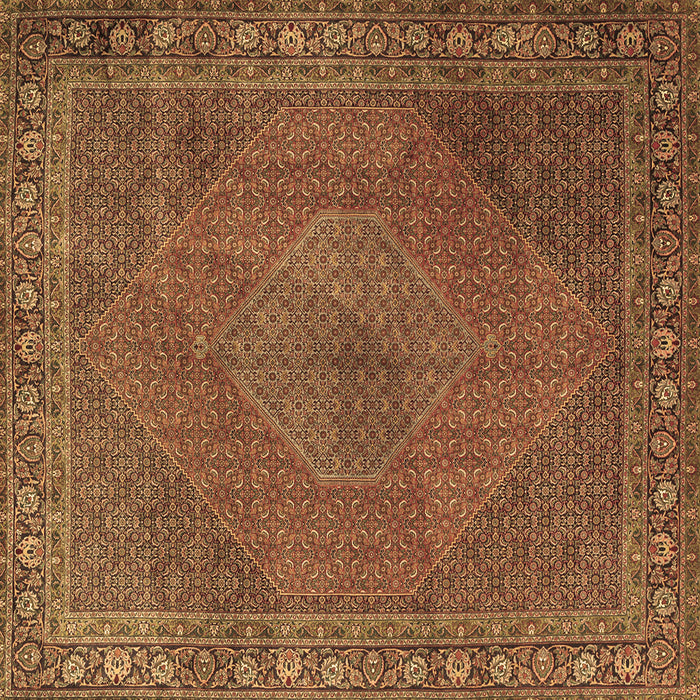 Square Persian Brown Traditional Rug, tr3492brn