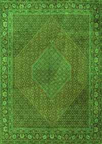 Persian Green Traditional Rug, tr3492grn