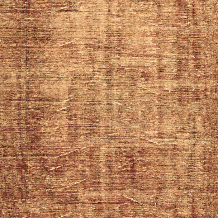 Persian Brown Traditional Rug, tr3493brn