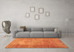 Machine Washable Persian Orange Traditional Area Rugs in a Living Room, wshtr3493org