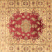 Square Machine Washable Persian Brown Traditional Rug, wshtr3494brn