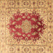 Square Persian Brown Traditional Rug, tr3494brn