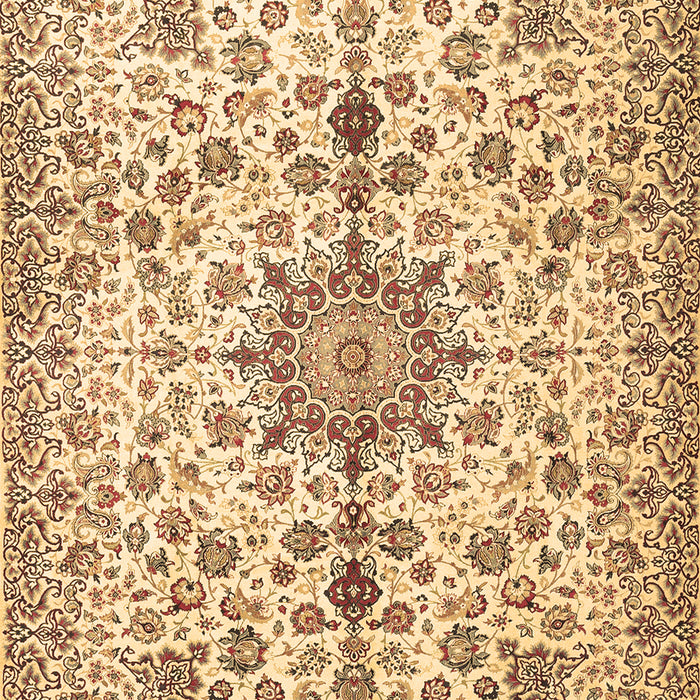 Persian Brown Traditional Rug, tr3495brn