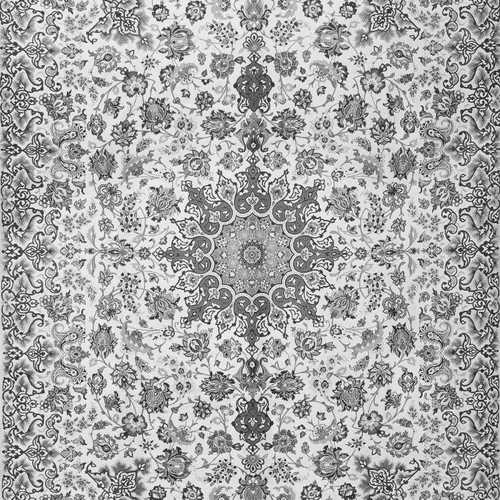 Persian Gray Traditional Rug, tr3495gry