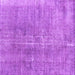 Square Machine Washable Persian Purple Bohemian Area Rugs, wshtr3497pur