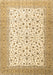 Persian Brown Traditional Rug, tr3500brn