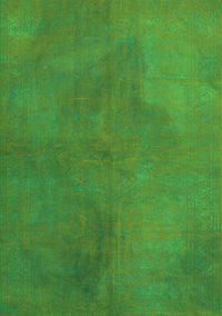 Persian Green Traditional Rug, tr3503grn