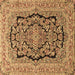 Square Persian Brown Traditional Rug, tr3508brn