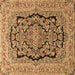 Square Machine Washable Persian Brown Traditional Rug, wshtr3508brn