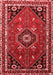 Medallion Red Traditional Area Rugs