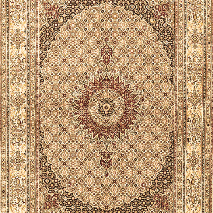 Medallion Brown Traditional Rug, tr3511brn
