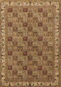 Persian Brown Traditional Rug, tr3512brn