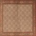 Square Machine Washable Persian Brown Traditional Rug, wshtr3513brn