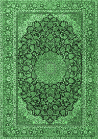 Medallion Emerald Green Traditional Rug, tr3515emgrn