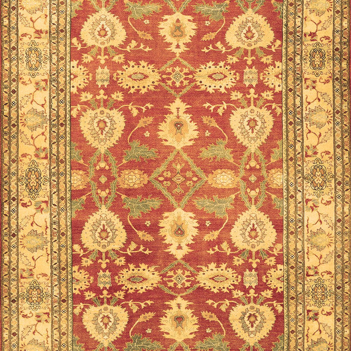 Oriental Brown Traditional Rug, tr3519brn