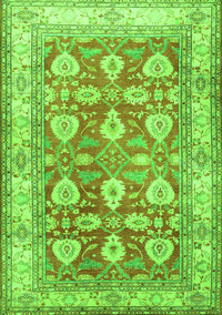 Oriental Green Traditional Rug, tr3519grn