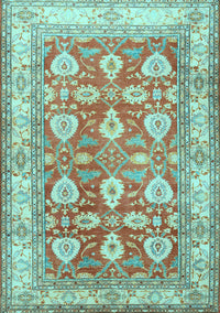 Oriental Light Blue Traditional Rug, tr3519lblu