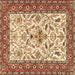 Square Animal Brown Traditional Rug, tr3524brn