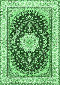 Medallion Emerald Green Traditional Rug, tr3525emgrn