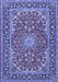 Machine Washable Medallion Blue Traditional Rug, wshtr3529blu