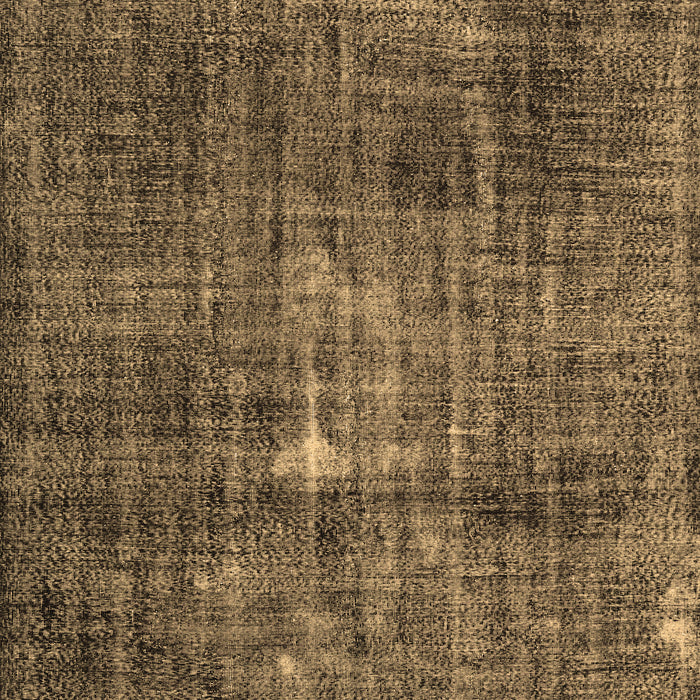 Machine Washable Persian Brown Traditional Rug, wshtr3530brn