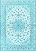 Persian Light Blue Traditional Rug, tr3535lblu