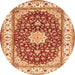 Machine Washable Persian Orange Traditional Area Rugs, wshtr3538org