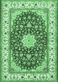 Persian Emerald Green Traditional Rug, tr3538emgrn