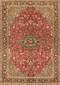 Persian Brown Traditional Rug, tr3542brn