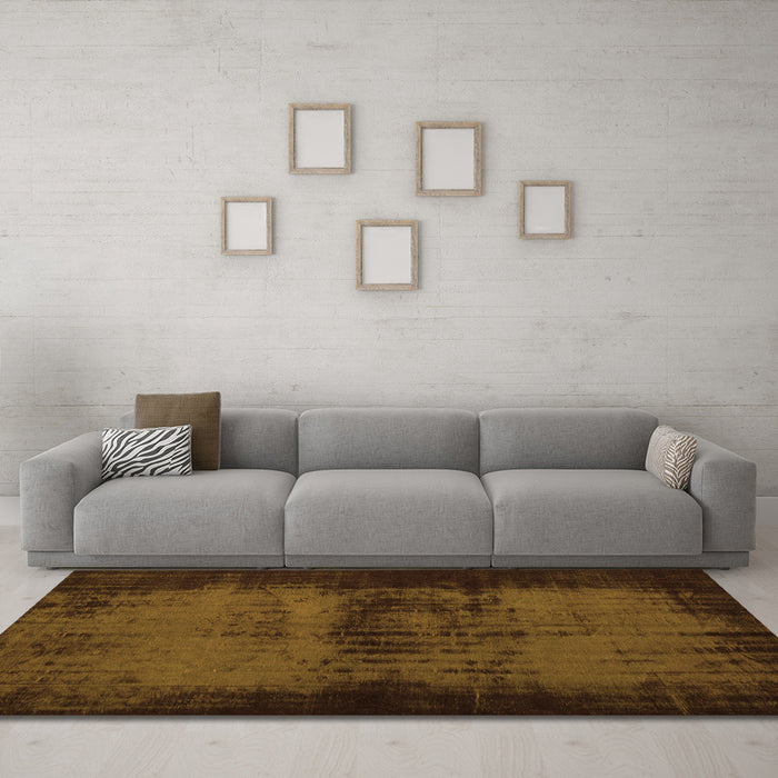 Machine Washable Persian Orange Traditional Area Rugs in a Living Room, wshtr3543org
