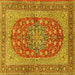 Square Persian Yellow Traditional Rug, tr3544yw