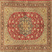 Square Machine Washable Persian Brown Traditional Rug, wshtr3544brn