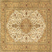 Square Machine Washable Persian Brown Traditional Rug, wshtr3545brn