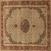 Square Machine Washable Persian Brown Traditional Rug, wshtr3548brn