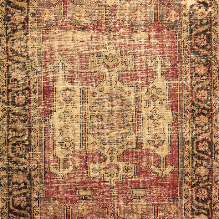Machine Washable Persian Brown Traditional Rug, wshtr3549brn