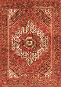 Persian Orange Traditional Rug, tr3552org