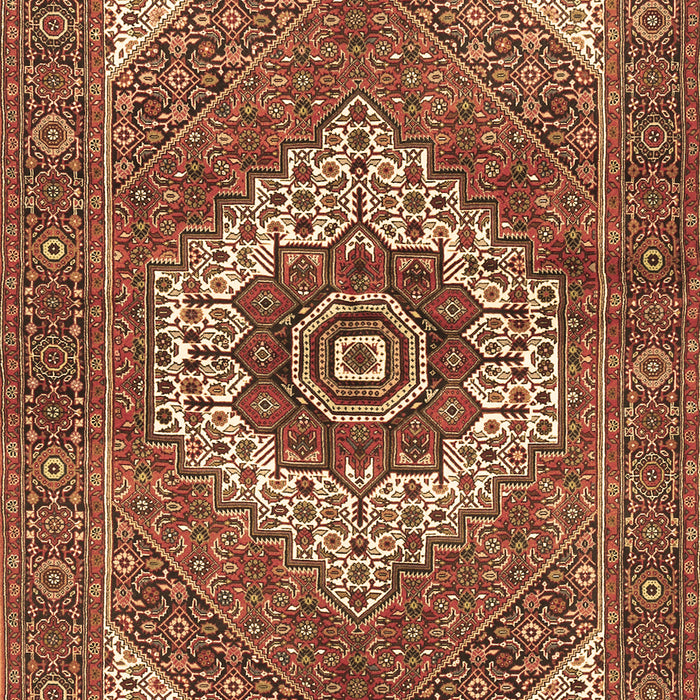Persian Brown Traditional Rug, tr3552brn