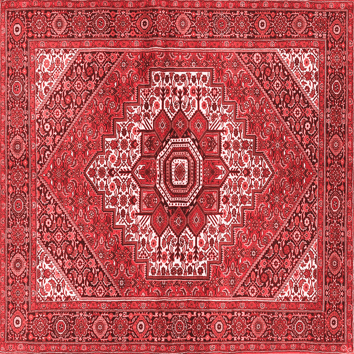Persian Red Traditional Rug, tr3552red