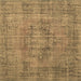 Square Persian Brown Traditional Rug, tr3553brn