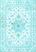 Persian Light Blue Traditional Rug, tr3555lblu