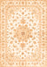 Persian Orange Traditional Rug, tr3555org