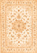 Persian Orange Traditional Rug, tr3557org